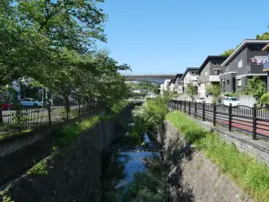写真No.2
