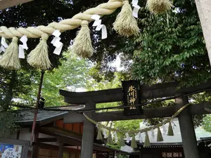写真No.6