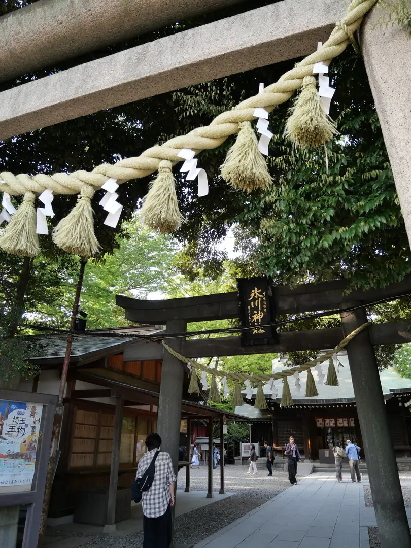 写真No.6
