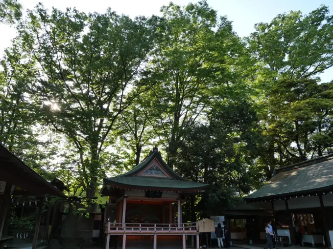 写真No.2