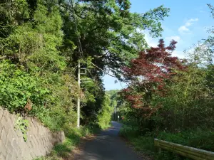 写真No.4