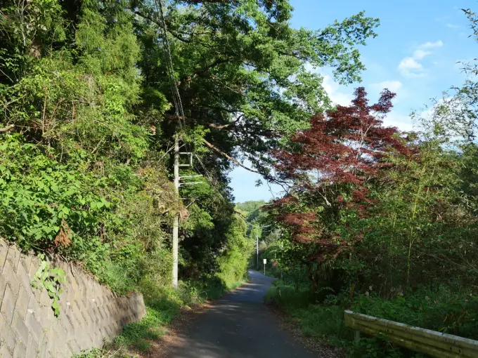 写真No.4