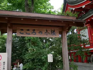 写真No.7