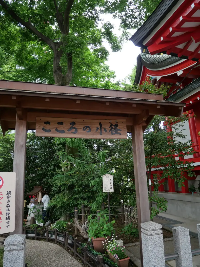写真No.7