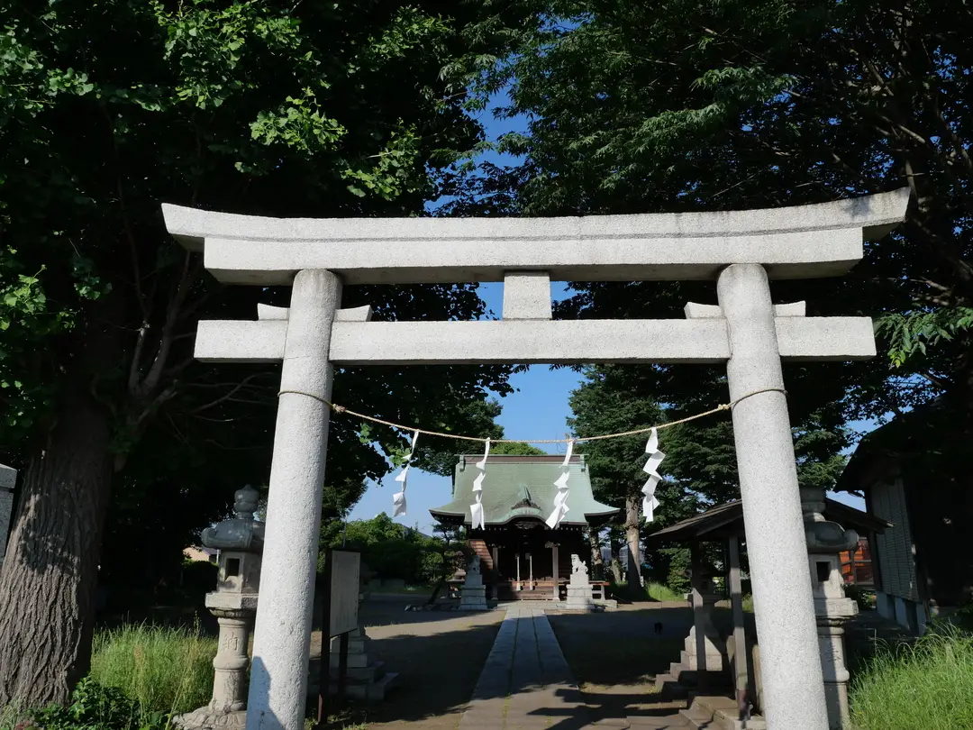 写真No.1