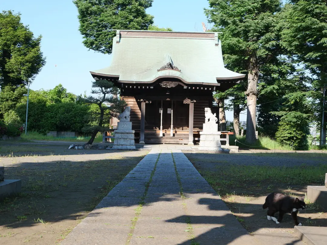 写真No.6