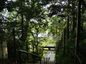 写真No.11