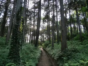 写真No.13