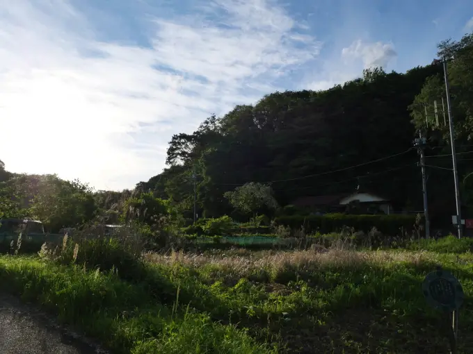 写真No.2