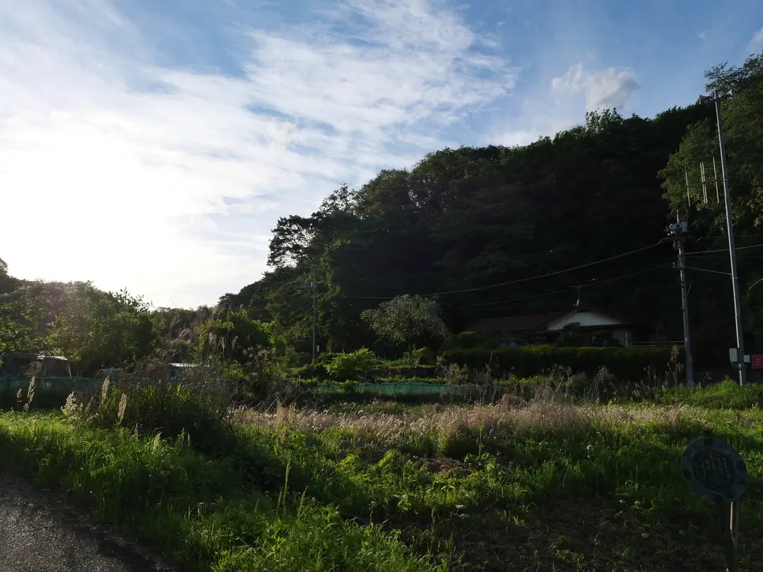 写真No.2