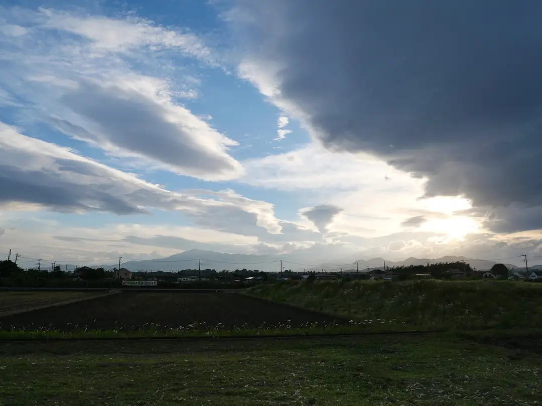 写真No.6