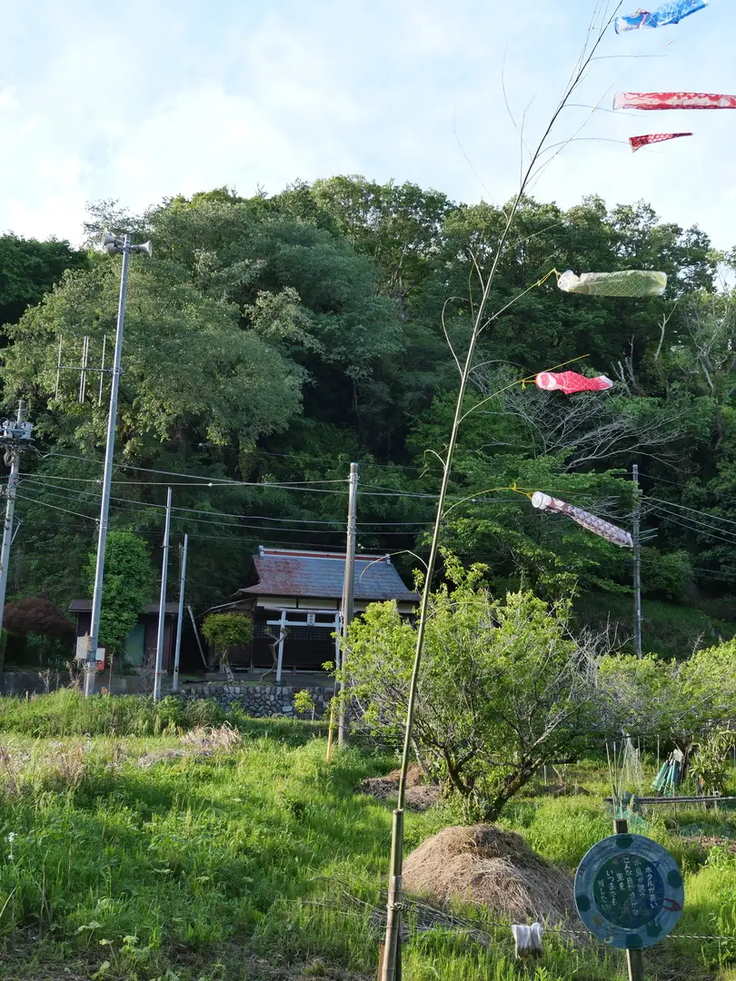 写真No.6