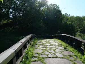 写真No.8