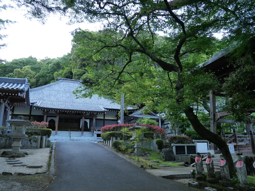 写真No.4