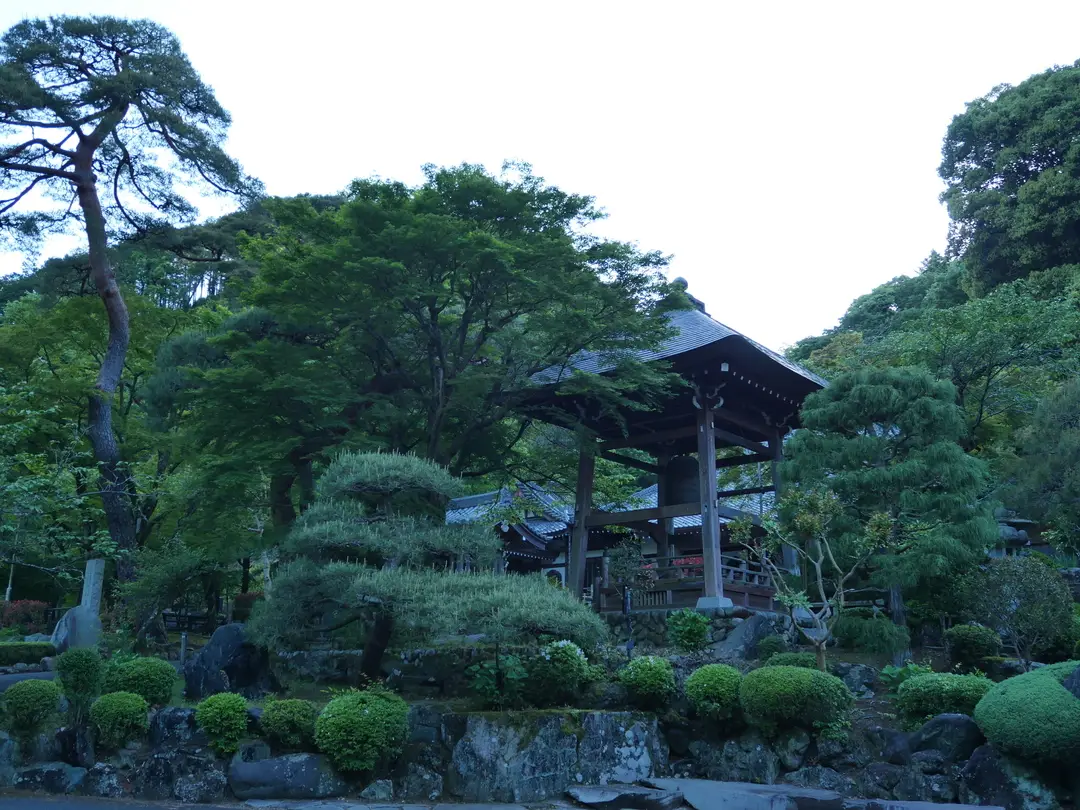 写真No.6