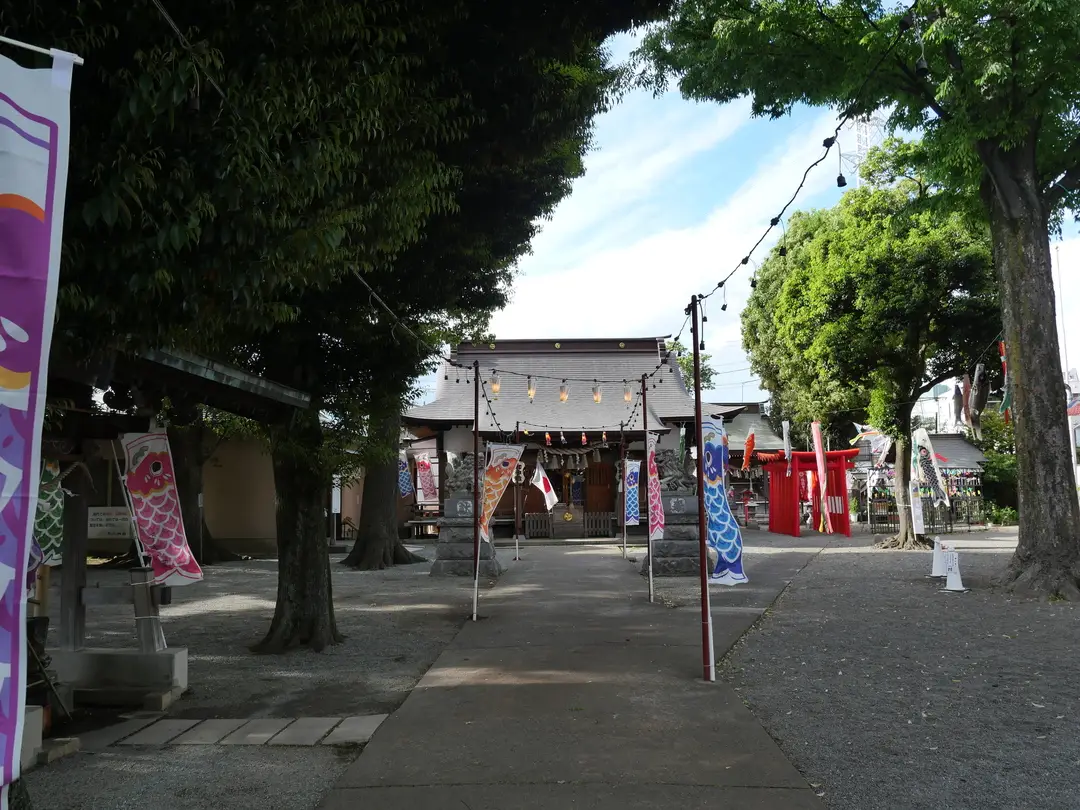写真No.5