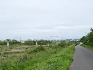 写真No.9
