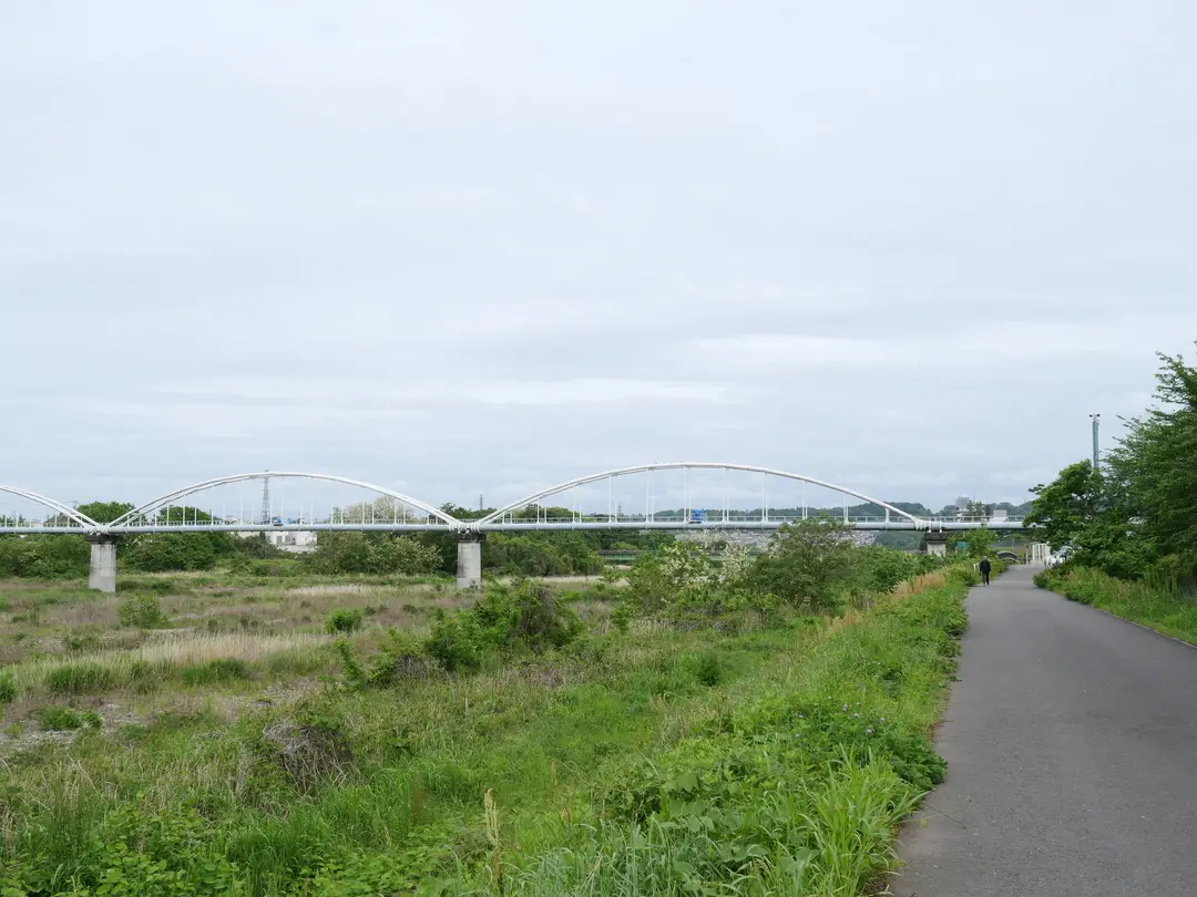 写真No.9