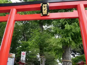 写真No.5
