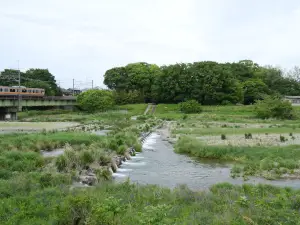 写真No.2