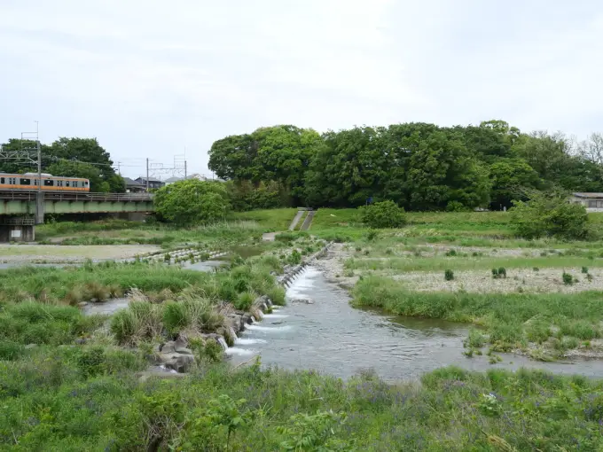 写真No.2