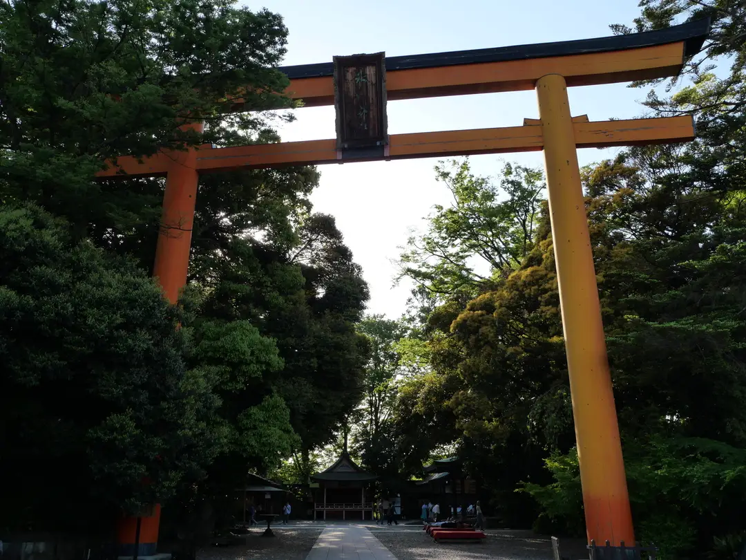 写真No.14
