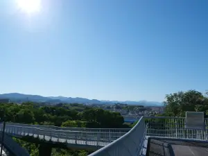 写真No.2