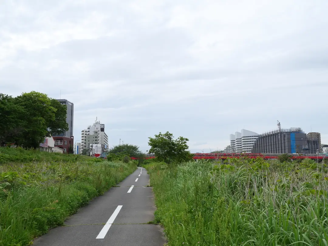 写真No.7