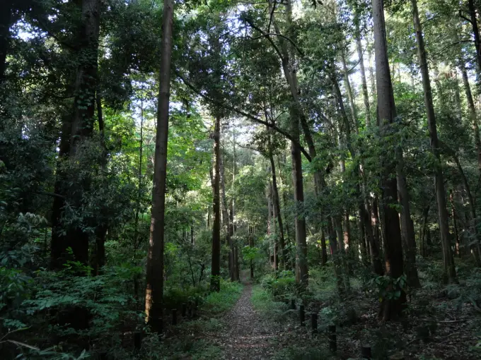 写真No.4