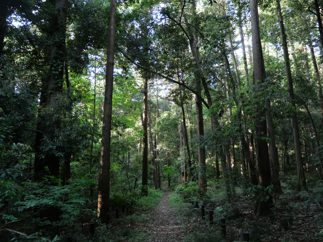 写真No.4