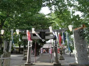 写真No.11