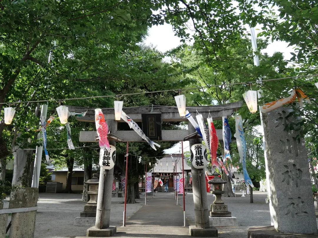 写真No.11