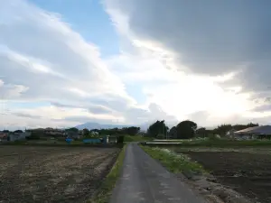 写真No.4