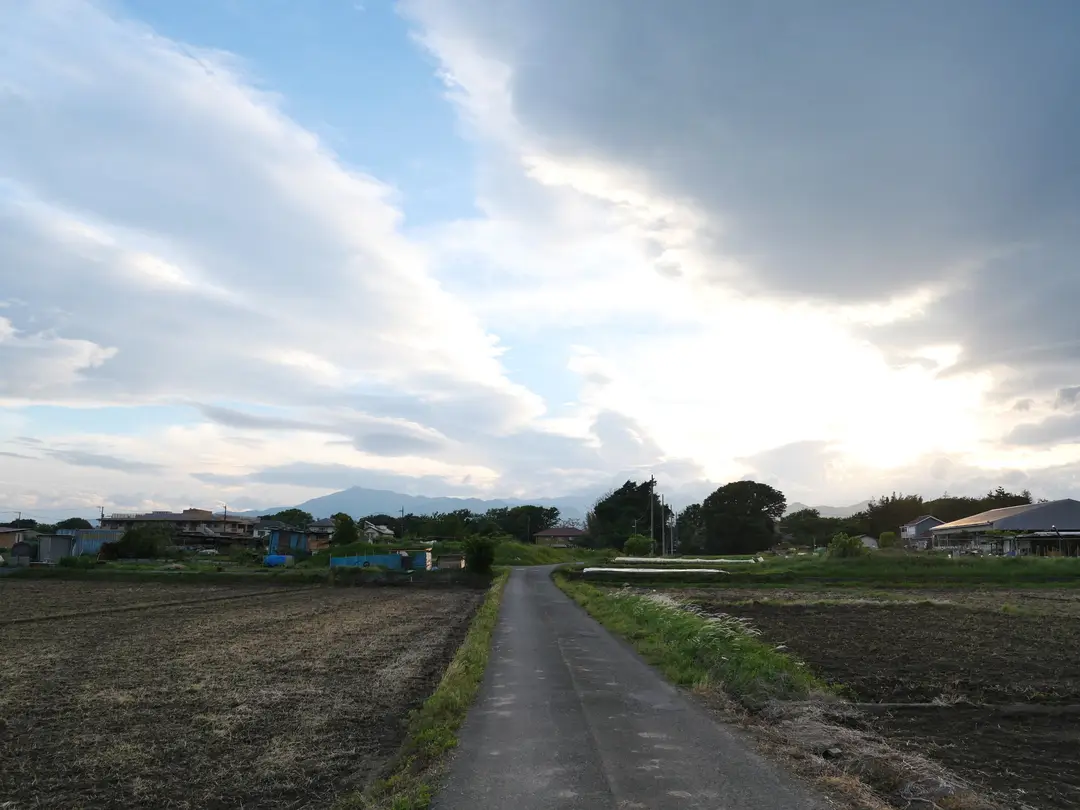写真No.4