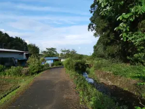 写真No.7