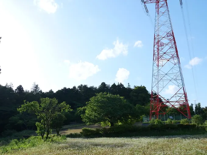 写真No.3