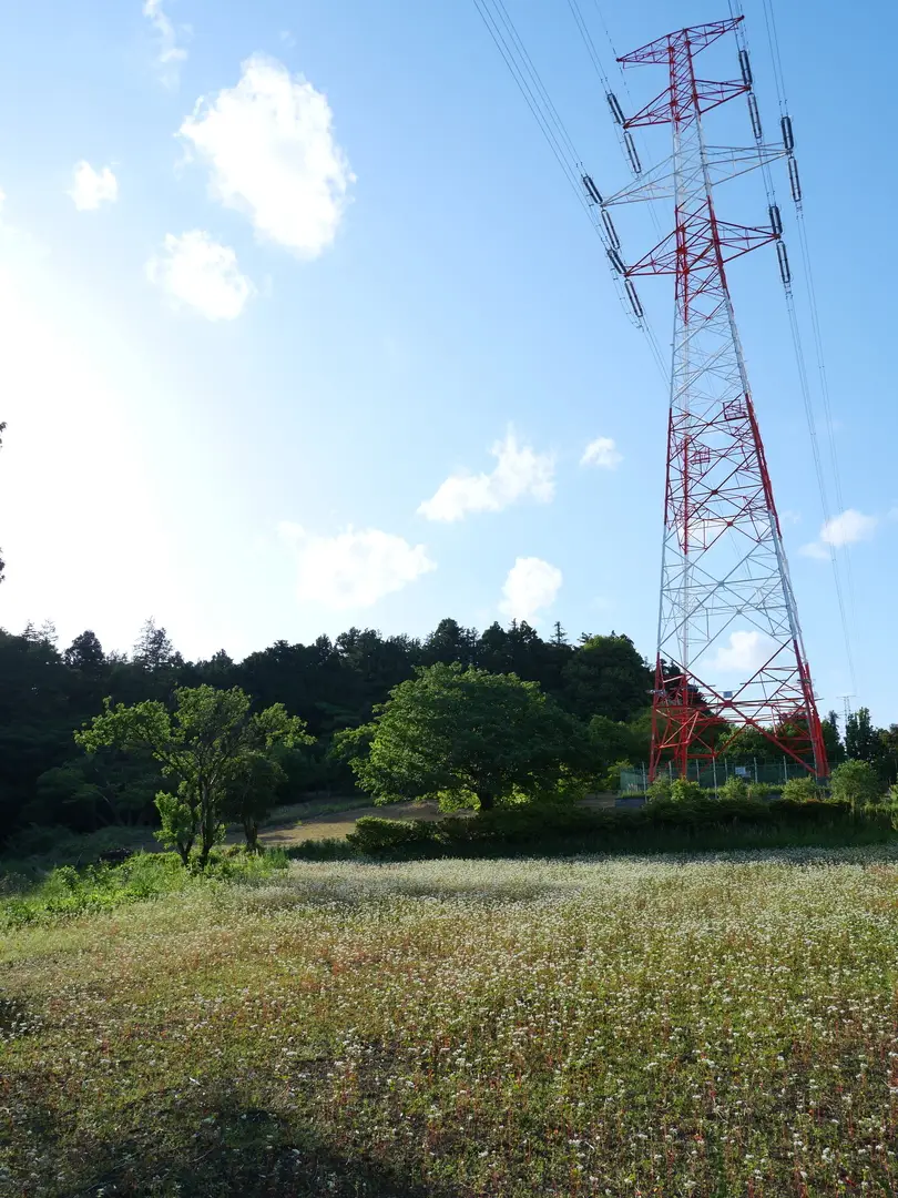 写真No.3