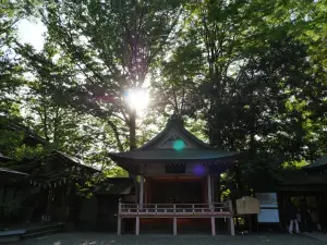 写真No.8