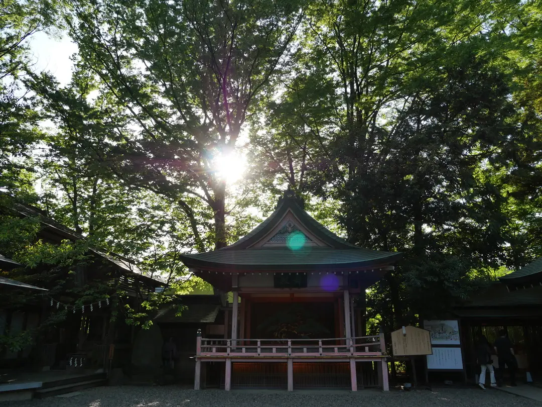 写真No.8