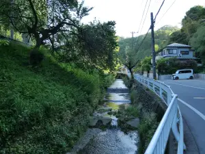 写真No.16