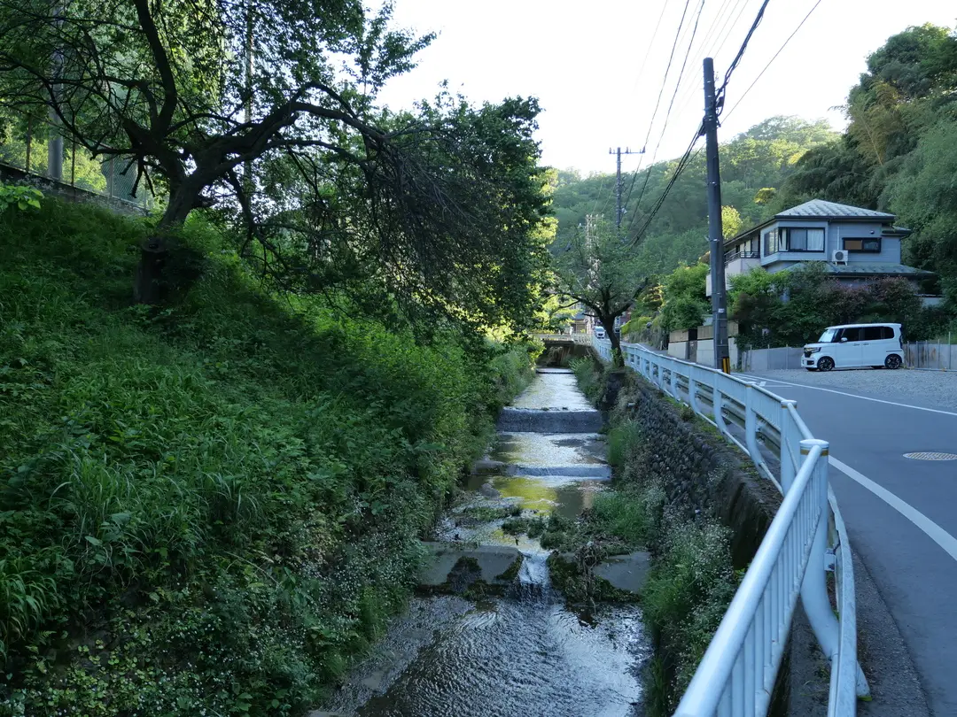 写真No.16