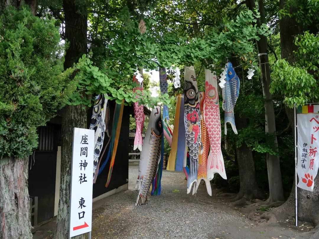 写真No.6