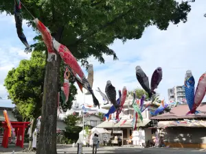 写真No.10