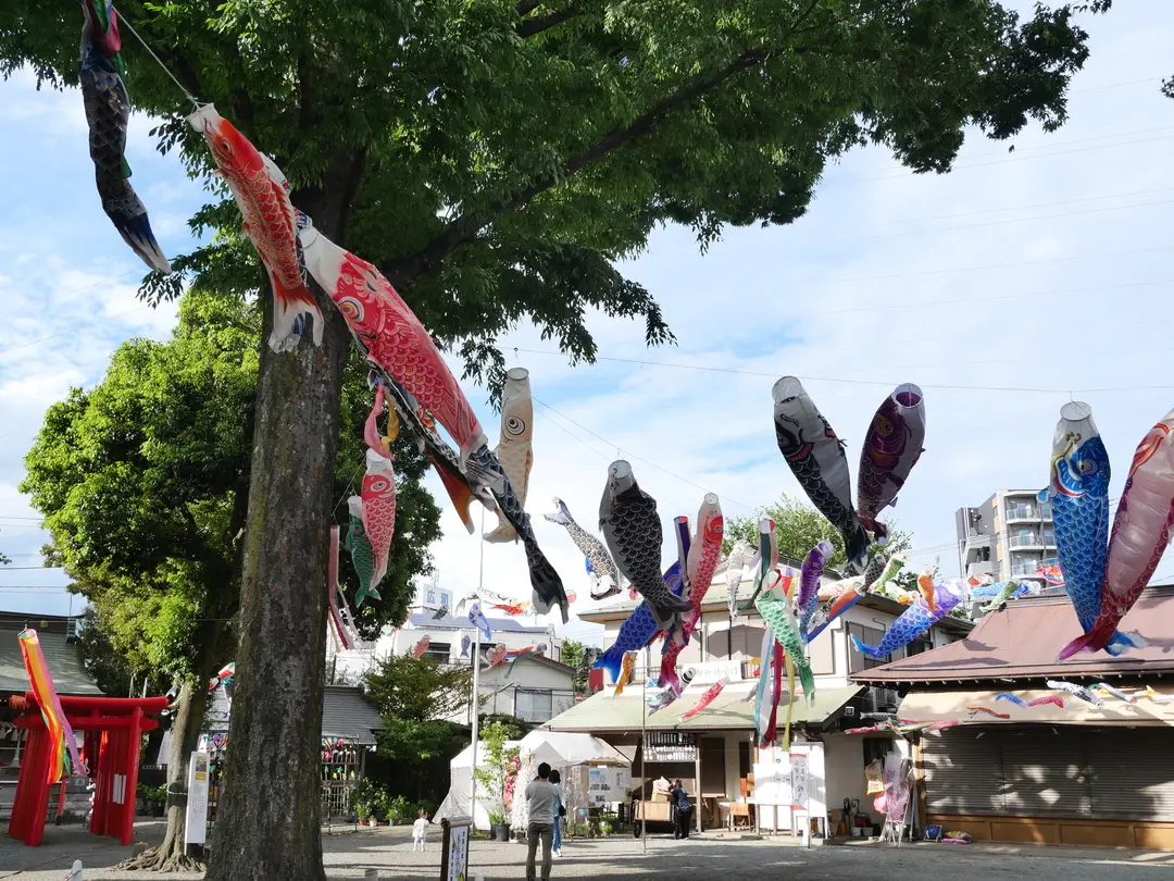 写真No.10