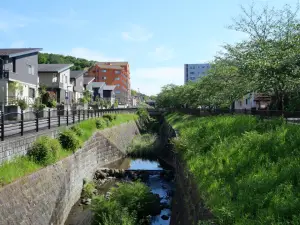 写真No.5