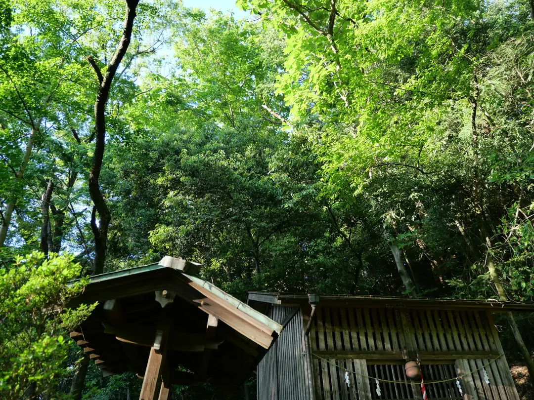 写真No.15