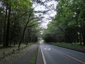 写真No.16
