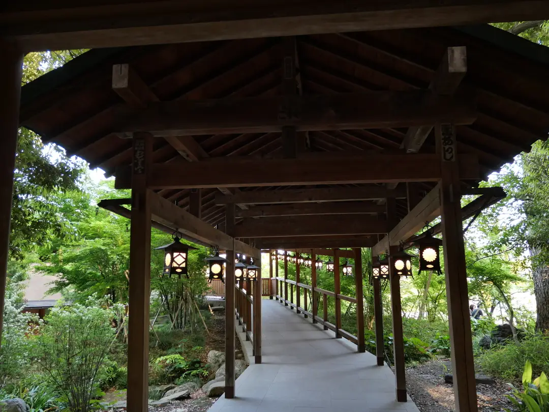 写真No.5