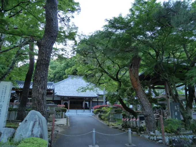 写真No.1