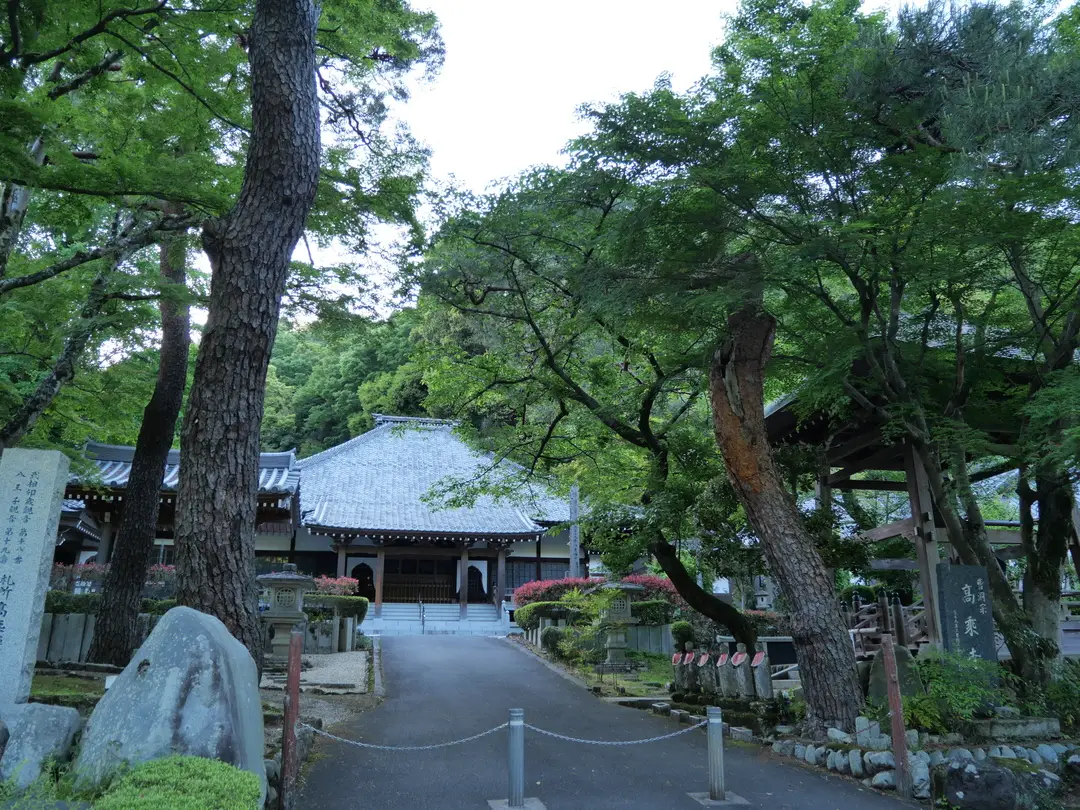 写真No.1